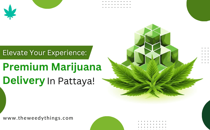 Elevate Your Experience: Premium Marijuana Delivery in Pattaya!